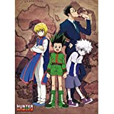 ABYstyle - HUNTER X HUNTER - Poster "Héros" (52x38cm)