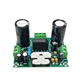 EYHLKM Carte d'amplificateur d'alimentation numérique 100W TDA7293 Module d'amplificateur audio à canal unique double 12-32 V DIY Conférencier