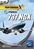 Flight Simulator : PMDG 737 NGX