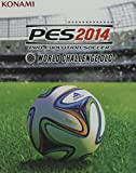 GIOCO PS3 PES 2014 WORLD
