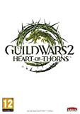 Guild Wars 2 : heart of thorns