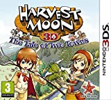 Harvest Moon 3D : the Tale of the Two Towns