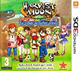 Harvest Moon: Le Village de L'arbre Céleste