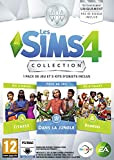 Les Sims 4 - Collection 6 - Code de Téléchargement pour PC