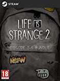 Life is Strange 2 - Season Pass (Episode 2-5) | PC Download - Steam Code