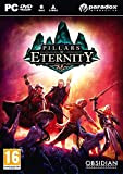 Pillars of Eternity - édition hero