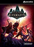 Pillars of Eternity: Hero Edition [Code Jeu]