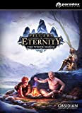 Pillars of Eternity - The White March: Part I (Expansion) [Code Jeu PC/Mac - Steam]