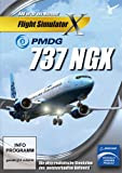PMDG 737 NGX (Add-on pour Microsoft Flight Simulator X) [import allemand]