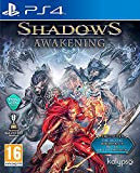 Shadow awakening pour PS4
