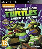 Teenage Mutant Ninja Turtles : danger of the ooze