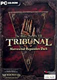 The Elder Scrolls III : Tribunal Morrowind expansion pack