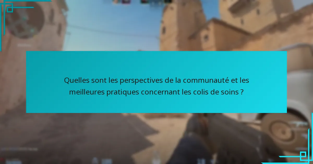 Quelles sont les perspectives de la communauté et les meilleures pratiques concernant les colis de soins ?