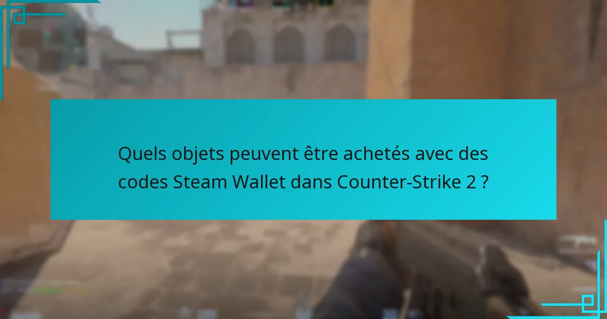 Quels objets peuvent être achetés avec des codes Steam Wallet dans Counter-Strike 2 ?